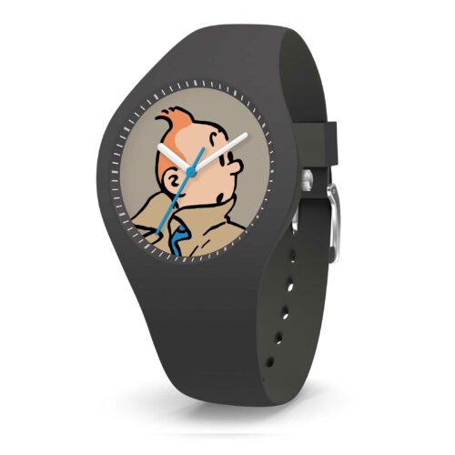 MONTRE TINTIN & CO