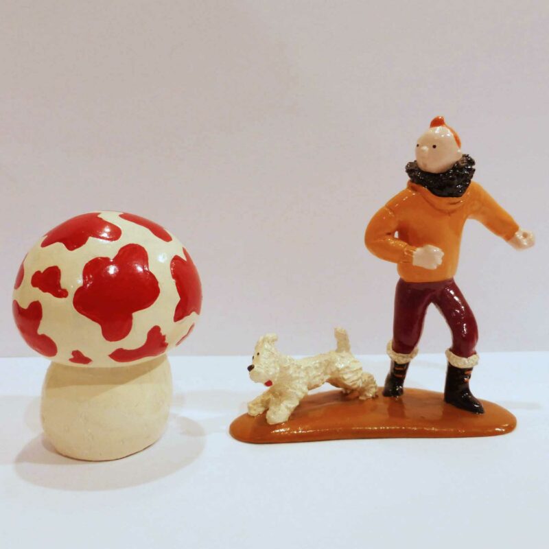 Tintin, Milou et le champignon, l'Etoile mystérieuse