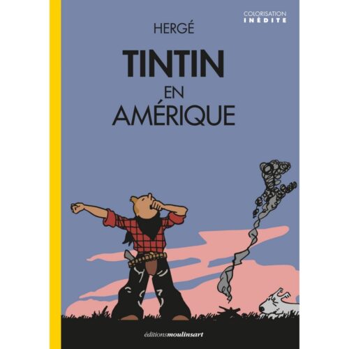 Tintin - Puzzle : Chute du capitaine Haddock avec la têt…