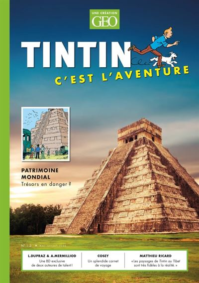Tintin en aventure