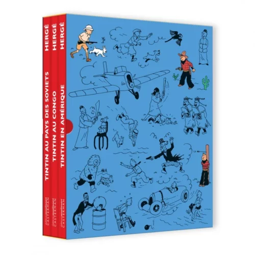 Puzzle - Tintin et le temple du soleil - Association ALLÉE - Agissons en  Laïcité pour des Loisirs ludiques et Éducatifs Ensemble