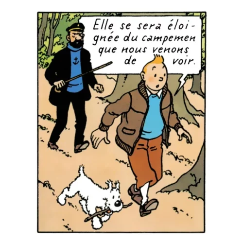 Tintin blouson aviateur